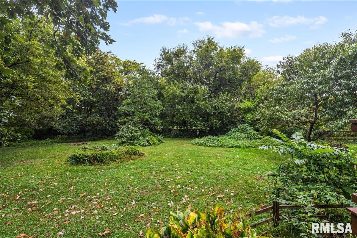 3281 Pet Cemetery Road Springfield, IL 62707 - Photo 48 of 50