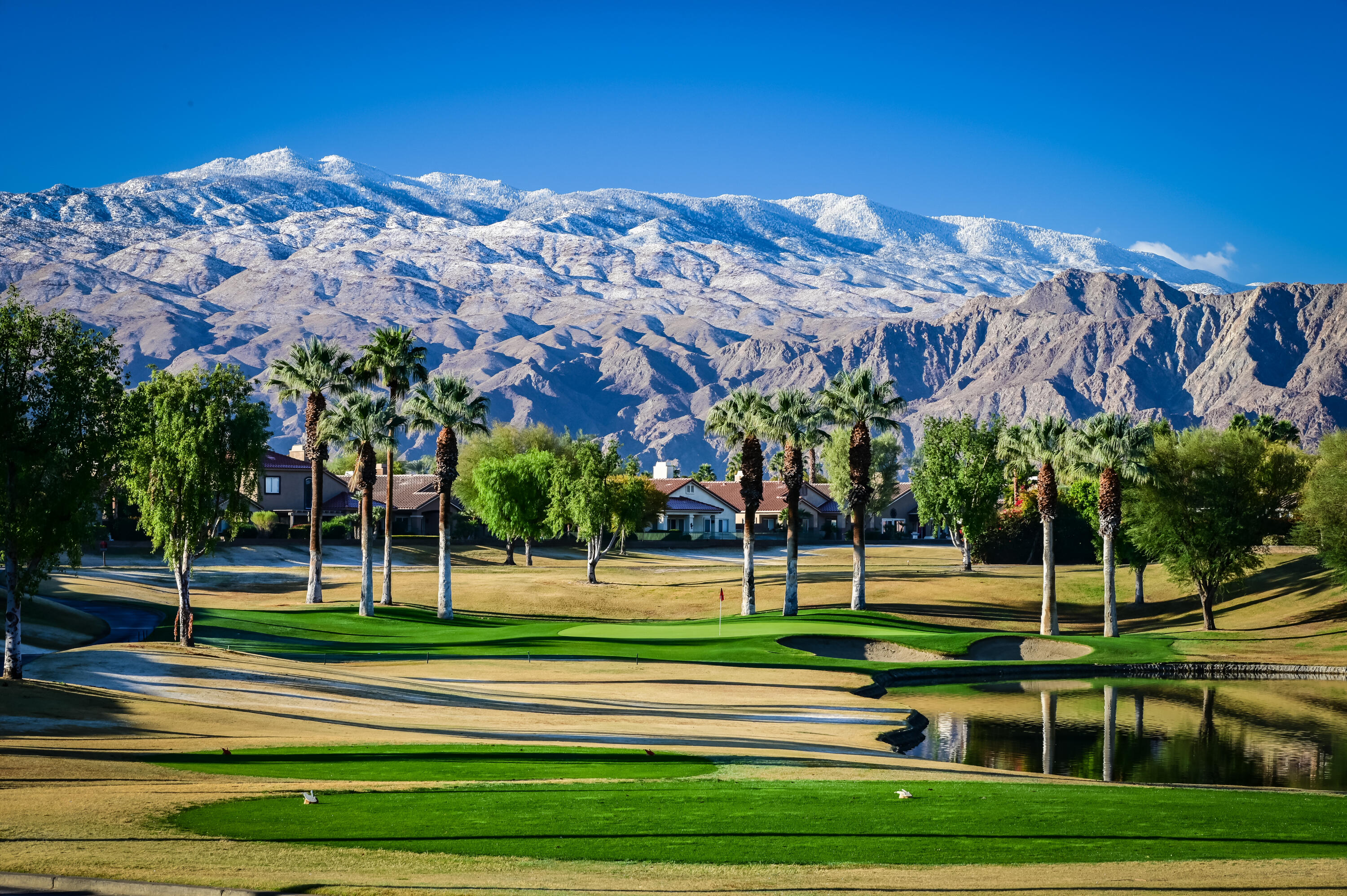 80432 Pebble Beach Drive Indio, CA 92201 - Photo 46 of 46 a view of a big yard