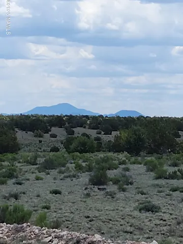 an aerial view of houses covered by trees
