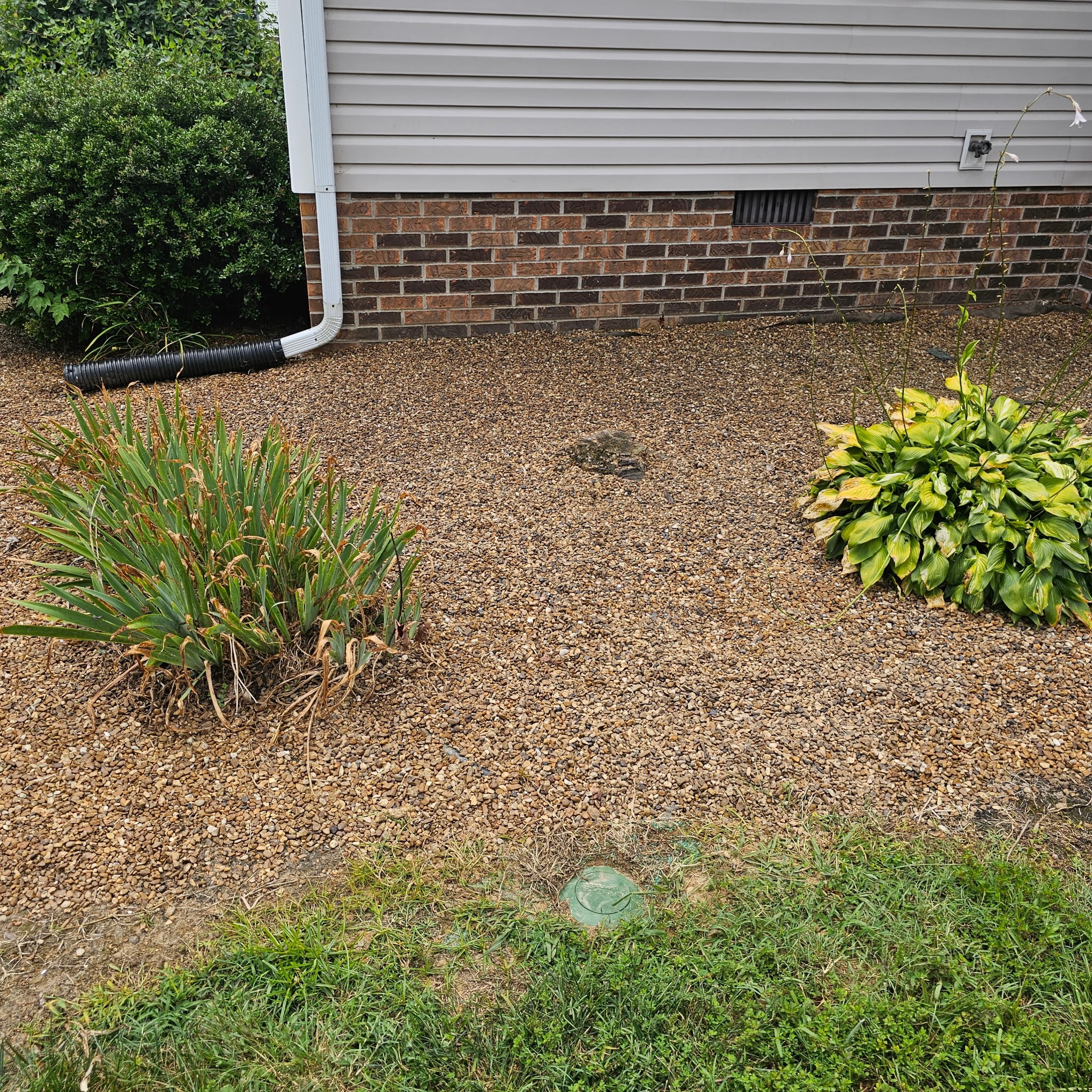 355 West Doak Road Manchester, TN 37355 - Photo 44 of 44 a view of a garden with plants