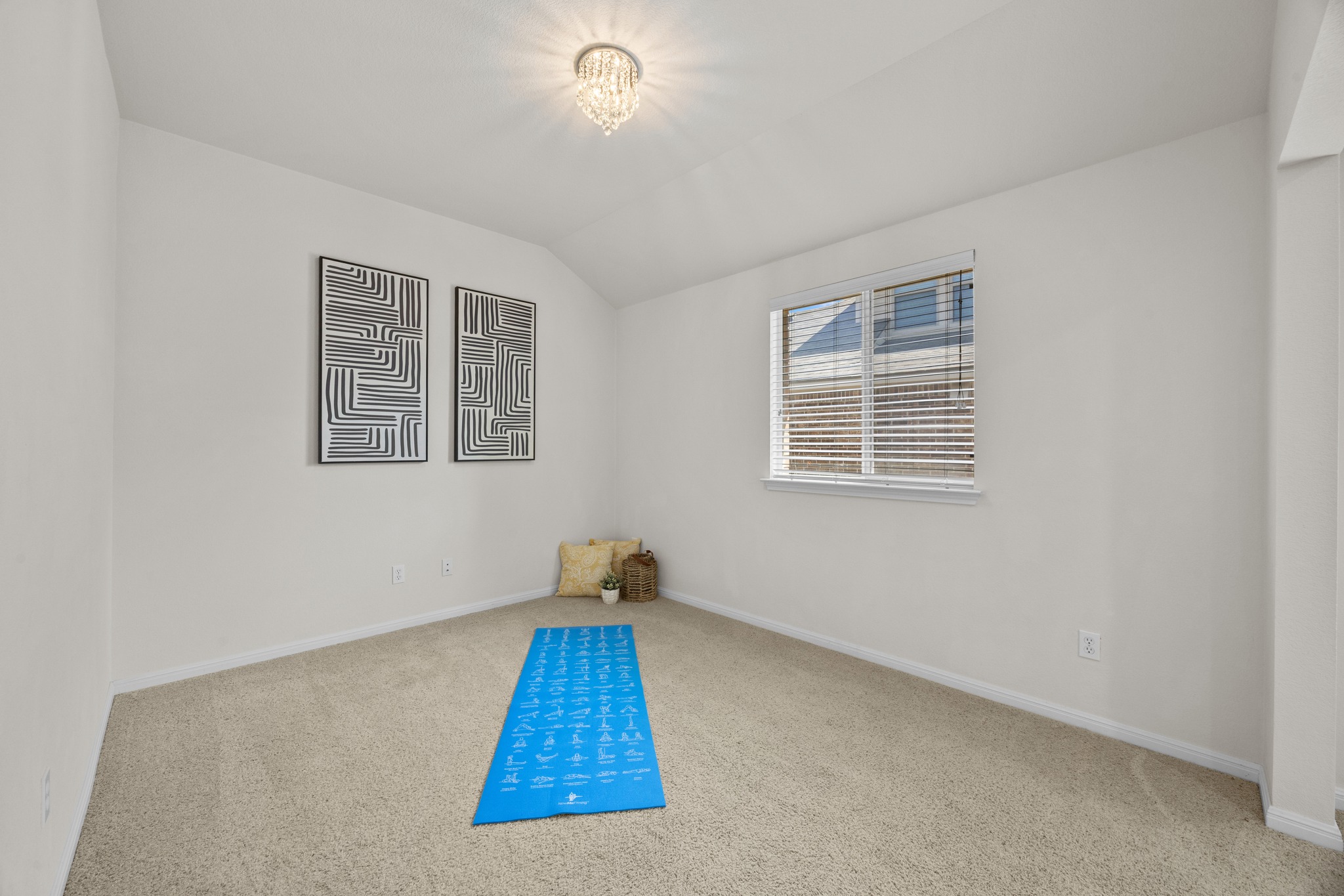 1317 Rimstone Drive Cedar Park, TX 78613 - Photo 23 of 32 Unfurnished room with lofted ceiling and light colored carpet