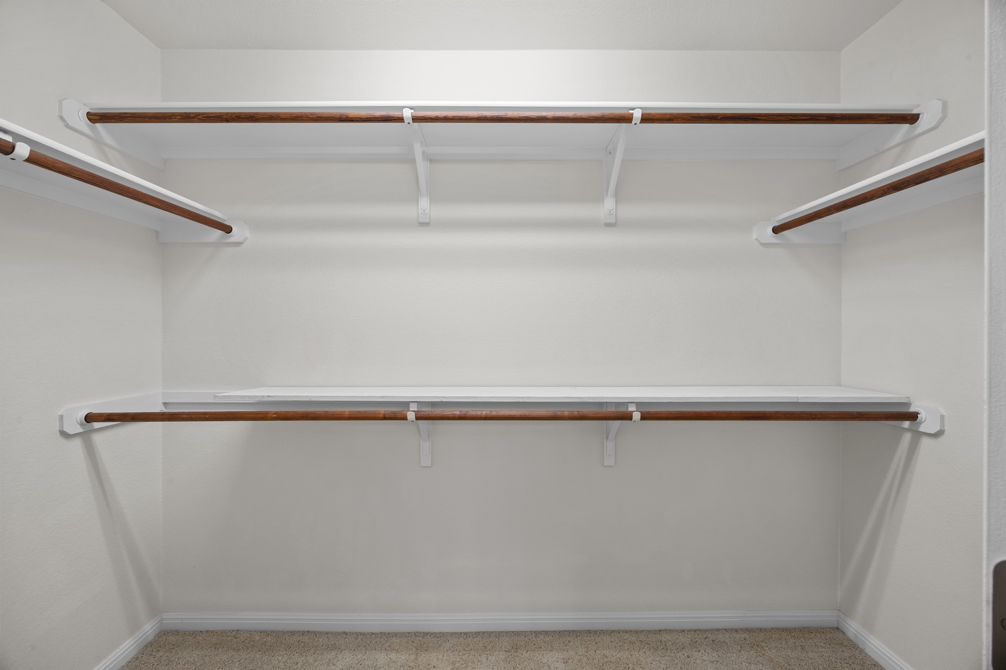 1317 Rimstone Drive Cedar Park, TX 78613 - Photo 27 of 32 Walk in closet featuring light carpet