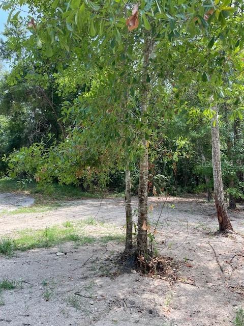 567 Harney Heights Road Geneva, FL 32732 - Photo 30 of 30 Gallery Image 30