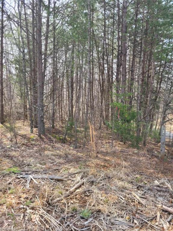 2078 Walker Road Winston-Salem, NC 27106 - Photo 2 of 4