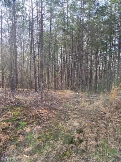 2078 Walker Road Winston-Salem, NC 27106 - Photo 3 of 4