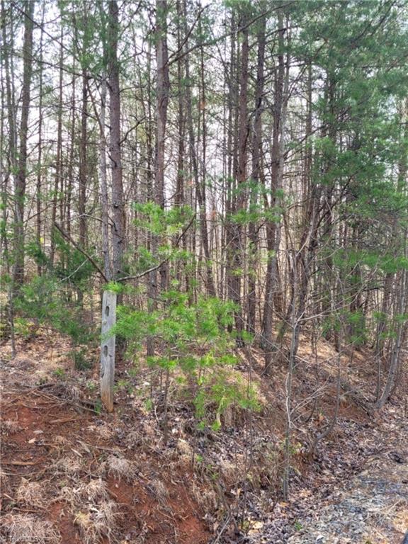 2078 Walker Road Winston-Salem, NC 27106 - Photo 4 of 4