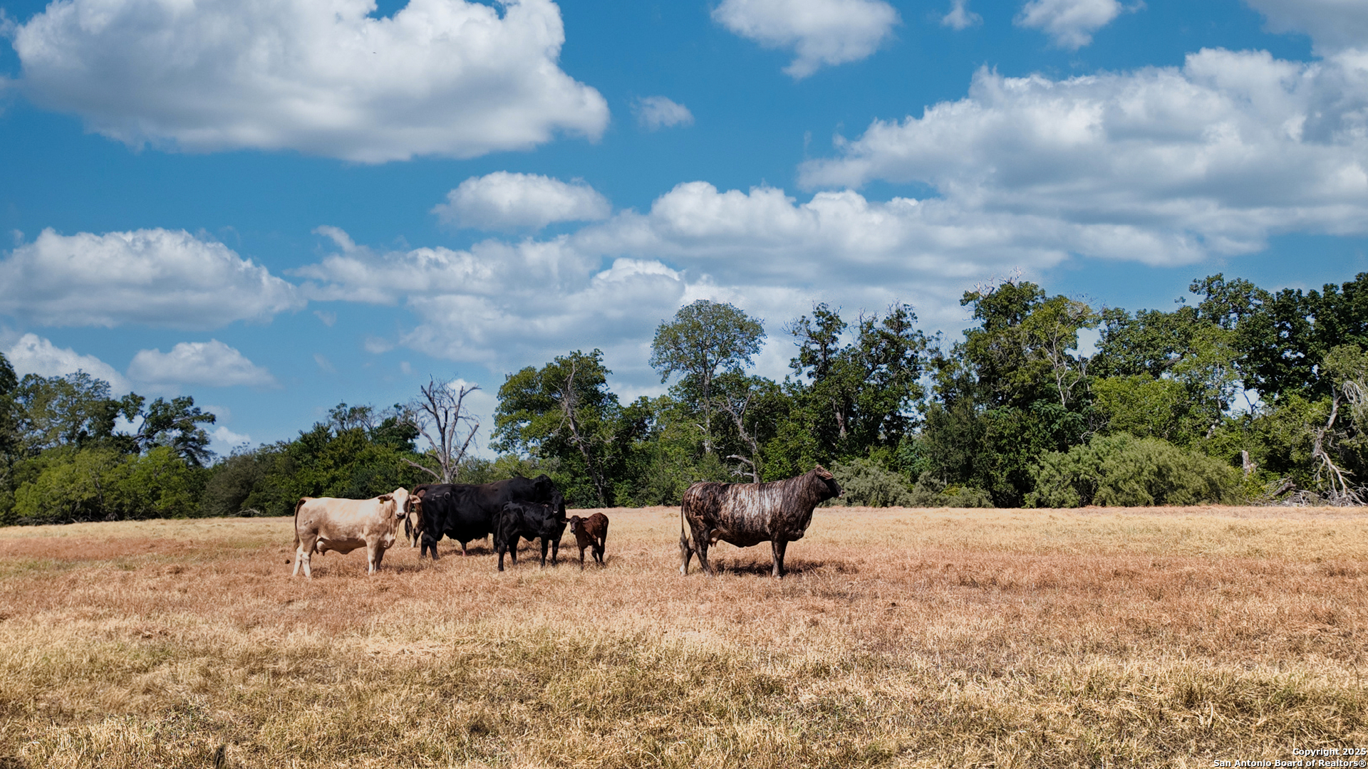 0 State Hwy 80 S Luling, TX 78648 - Photo 17 of 18 a view of a backyard with sitting area