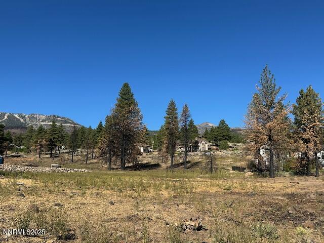 605 Sand Cherry Court Reno, NV 89511 - Photo 11 of 27 a view of swimming pool with a yard