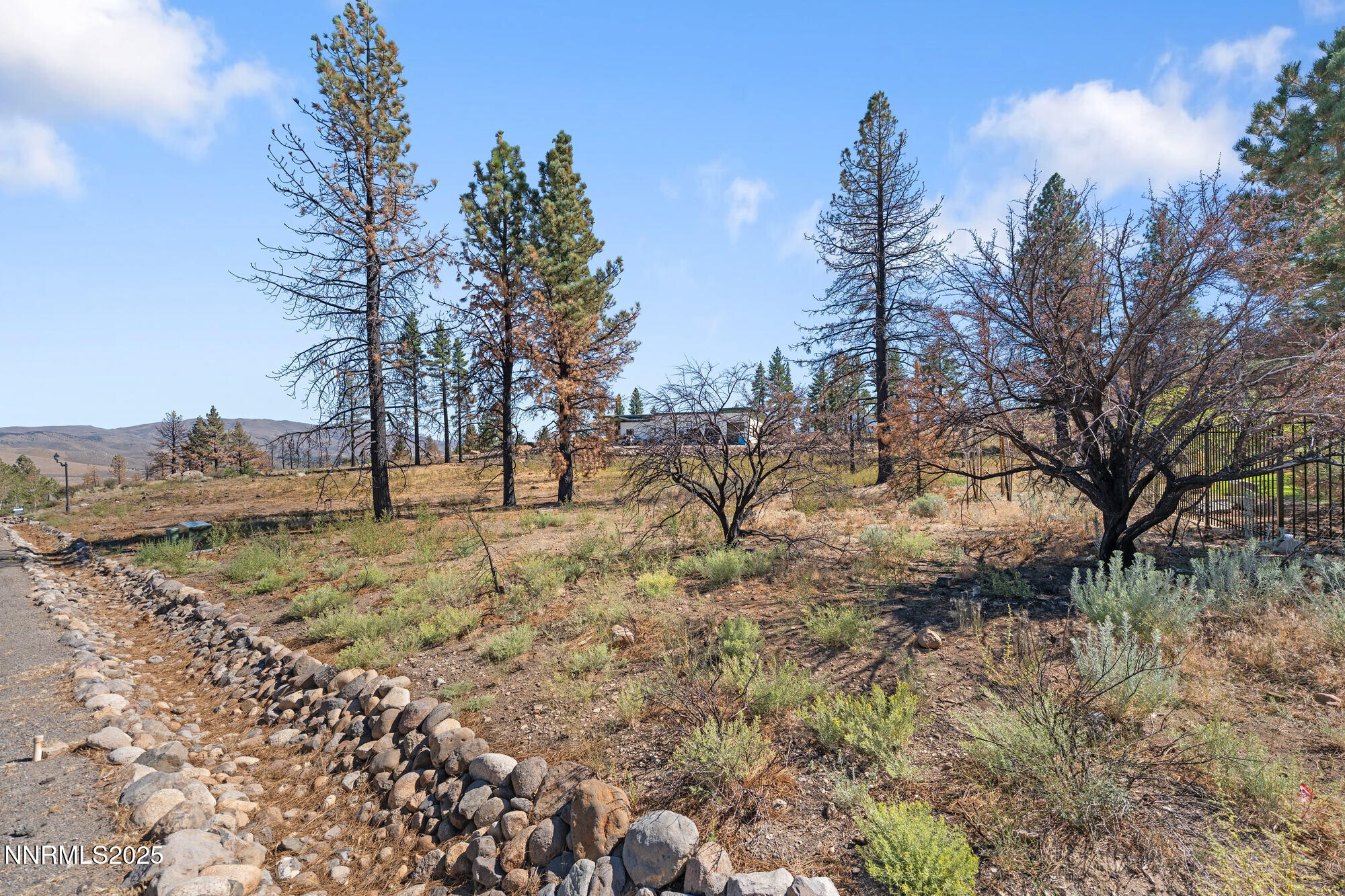 605 Sand Cherry Court Reno, NV 89511 - Photo 23 of 27 a view of dirt yard with a tree