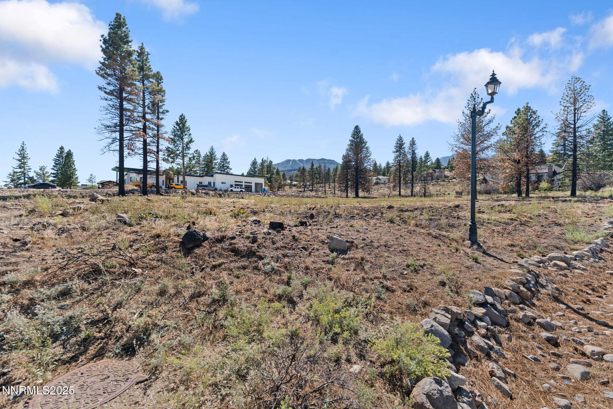 605 Sand Cherry Court Reno, NV 89511 - Photo 25 of 27 a view of a yard with a trees
