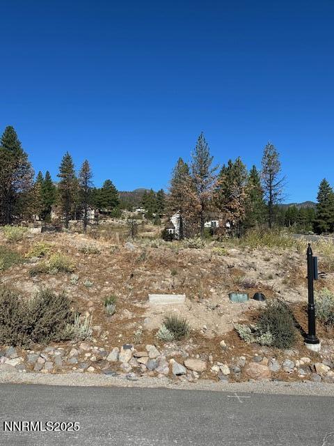 605 Sand Cherry Court Reno, NV 89511 - Photo 3 of 27 a view of a yard with a tree