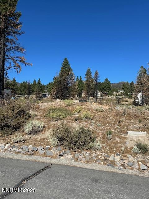 605 Sand Cherry Court Reno, NV 89511 - Photo 4 of 27 a view of a field with a tree in the background