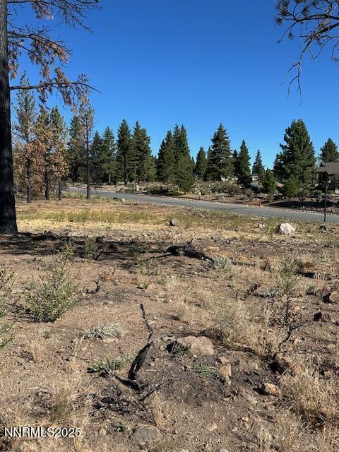 605 Sand Cherry Court Reno, NV 89511 - Photo 5 of 27 a view of dirt yard