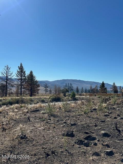 605 Sand Cherry Court Reno, NV 89511 - Photo 7 of 27 a view of a dry yard with trees in the background