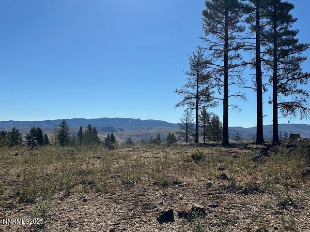 605 Sand Cherry Court Reno, NV 89511 - Photo 8 of 27 a view of a dry yard with trees in the background