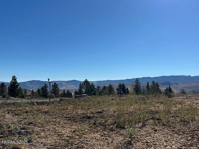 605 Sand Cherry Court Reno, NV 89511 - Photo 9 of 27 a view of a dry field