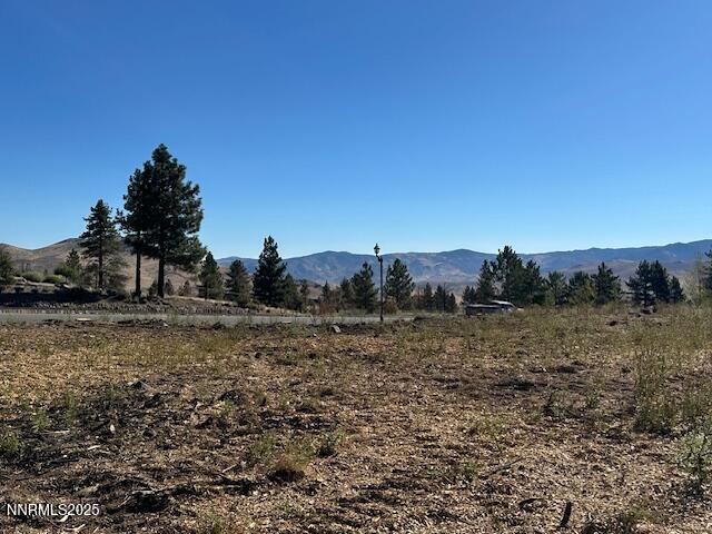 605 Sand Cherry Court Reno, NV 89511 - Photo 10 of 27 a view of a dry yard with trees in the background