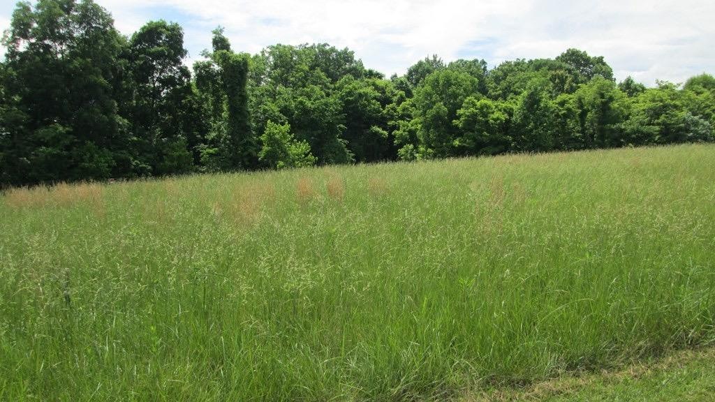 4 Hester Ridge Road Wallingford, KY 41093 - Photo 2 of 3 Photo 2