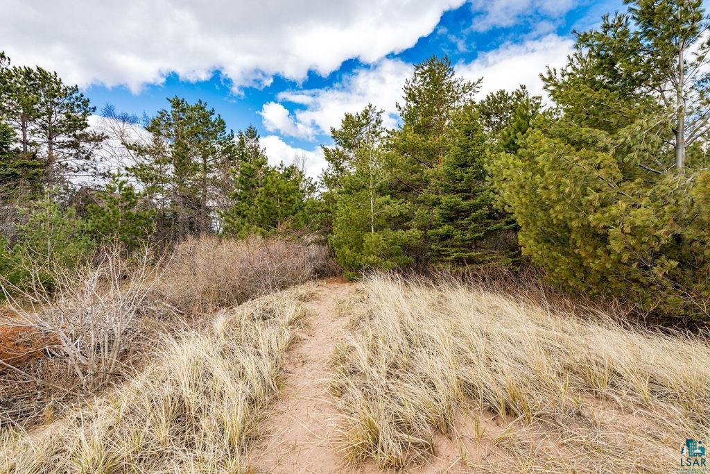 3206 Minnesota Avenue Duluth, MN 55802 - Photo 35 of 51 Natural sandy path traversing a landscape with dry grasses and mature evergreen trees