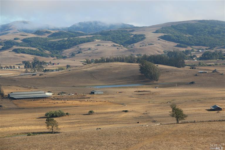 2915 Pepper Road Petaluma, CA 94952 - Photo 1 of 1 Loafing Barn and southern pond. This is a fully operating dairy milking approximately 300 cows at this time. The entire herd is available as a separate sale along with permits and quotas. There is an additional contiguous parcel of 330+/- acres of upland pasture. The past owner perfected a number of Certificates of Compliance on the property. The property is subject to the restrictive terms (and lower taxes) of a Williamson Act contract and parcels would need to meet County water and septic requirements.