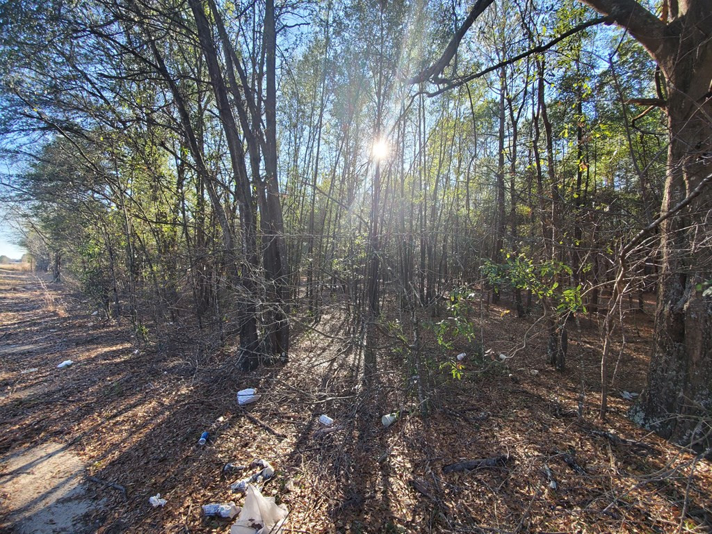 0 Festival Trail Road, Unit ROAD Springfield, SC 29146 - Photo 3 of 6 Photo 3