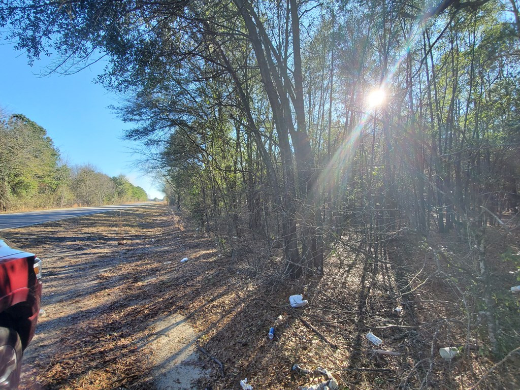 0 Festival Trail Road, Unit ROAD Springfield, SC 29146 - Photo 4 of 6 Photo 4