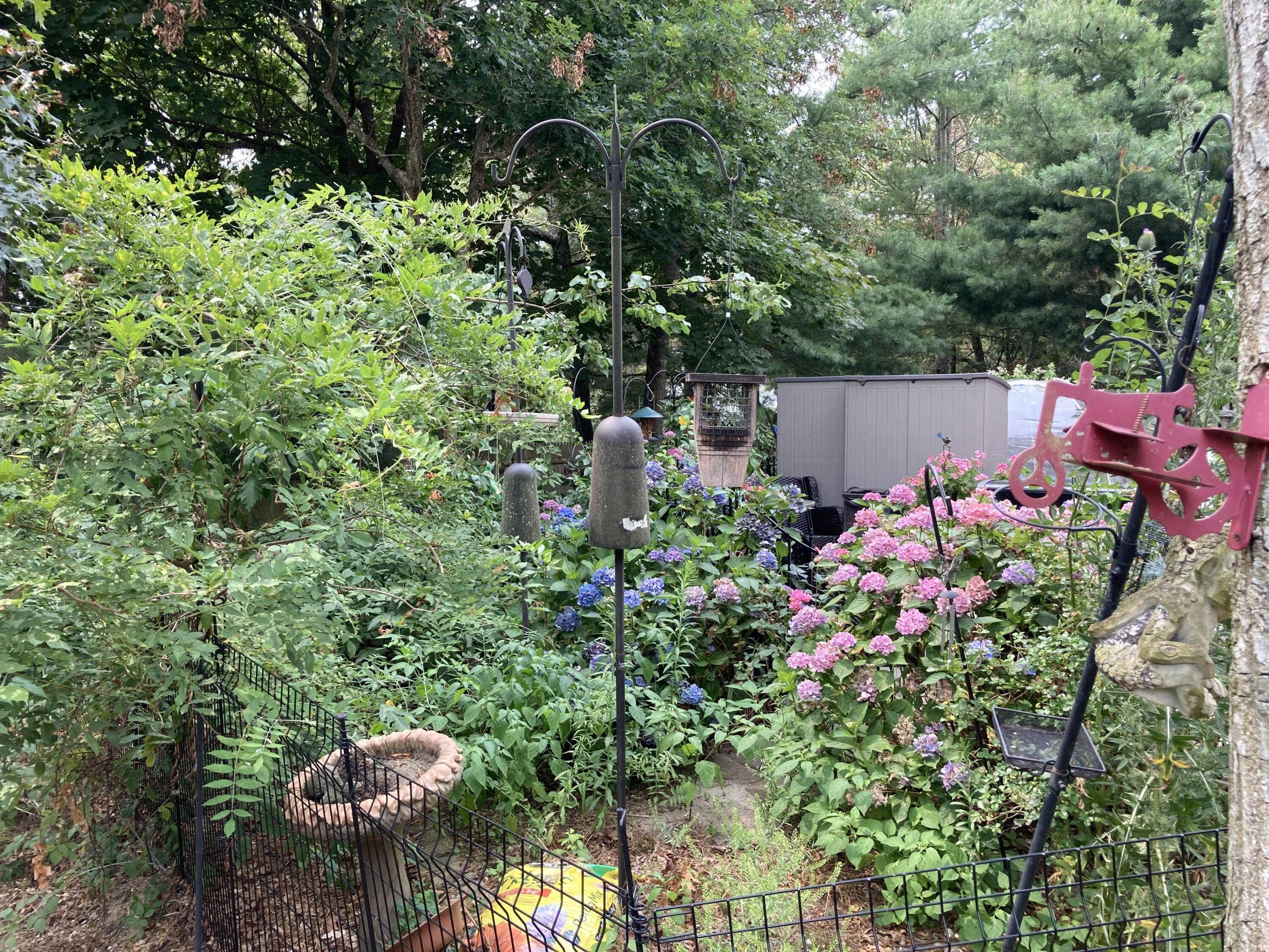 6 Santuit Pond Road Mashpee, MA 02649 - Photo 7 of 35 Perrenial gardens