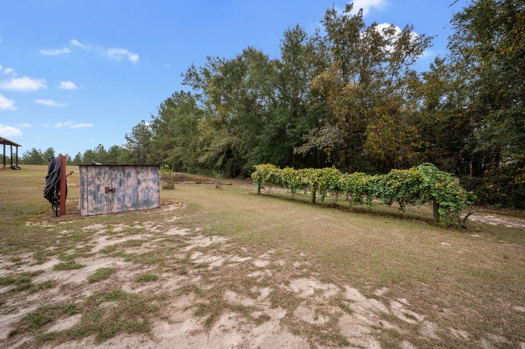 44702 Phillipsville Road Bay Minette, AL 36507 - Photo 25 of 31