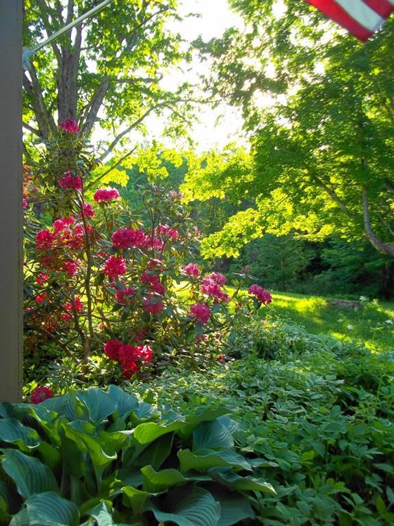 125 Nelson Road Pittston, ME 04345 - Photo 33 of 34 Flower Gardens in front porch area