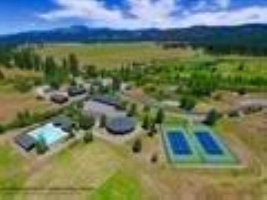 93 Bridle Path Clio, CA 96106 - Photo 19 of 21 a view of a yard