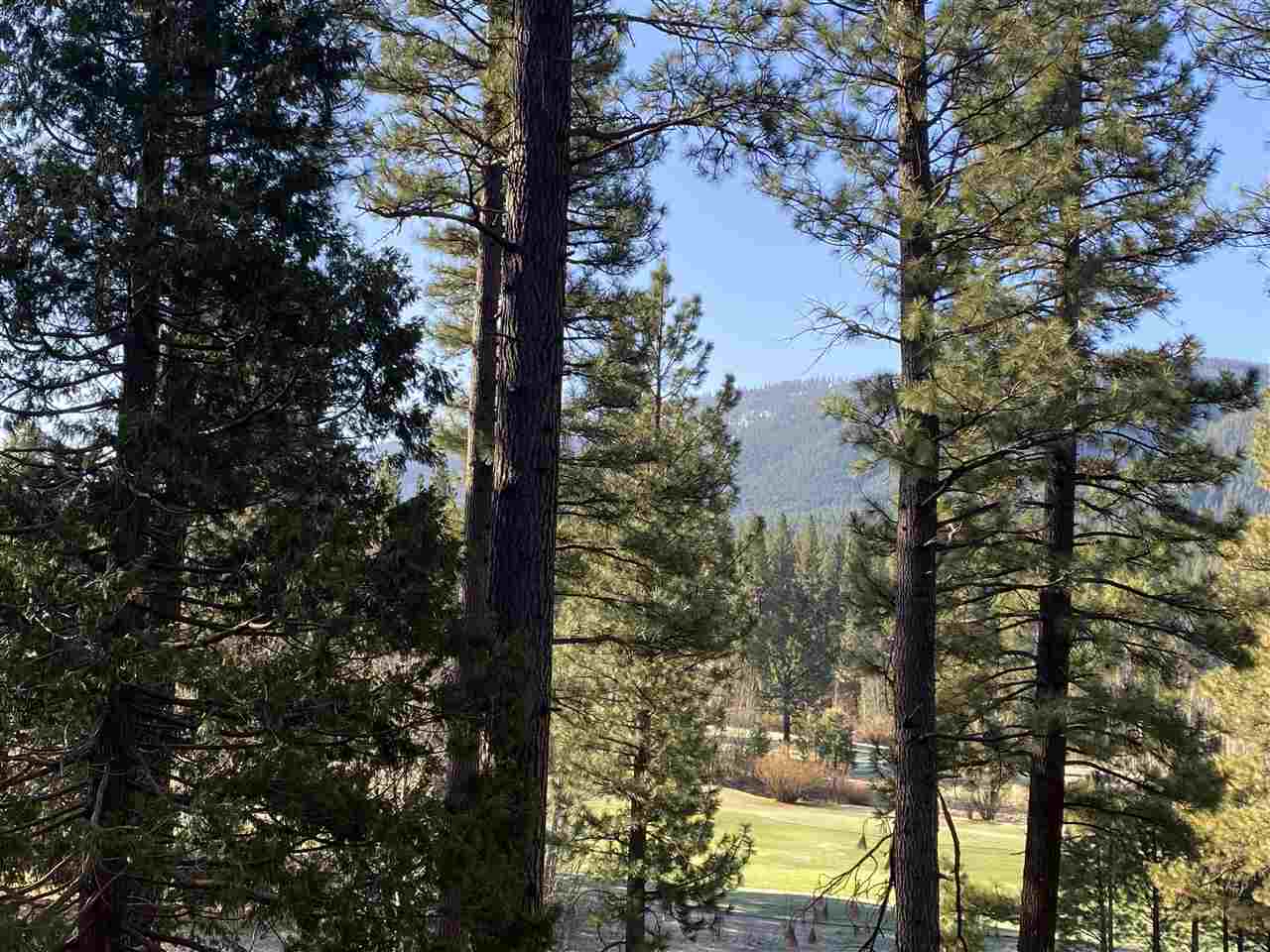 93 Bridle Path Clio, CA 96106 - Photo 3 of 21 a view of sky from a tree