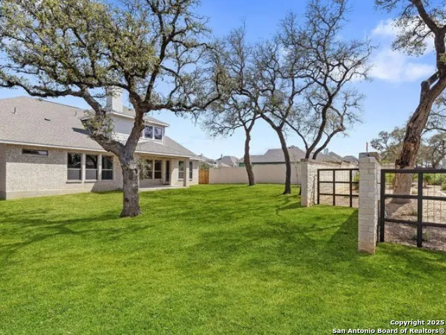 a view of a yard in front of a house with plants and large tree