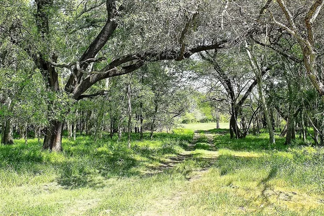 $477,177 | Tbd Scott Road, Weimar, TX 78962
