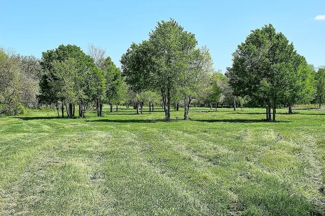 $477,177 | Tbd Scott Road, Weimar, TX 78962