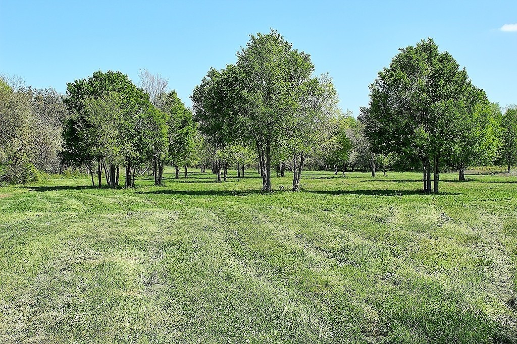 Tbd Scott Road Weimar, TX 78962 - Photo 12 of 16