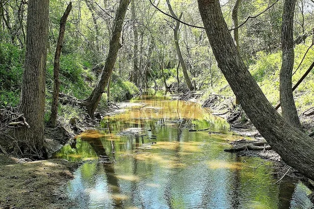 $477,177 | Tbd Scott Road, Weimar, TX 78962