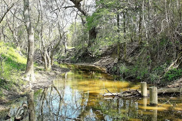 $477,177 | Tbd Scott Road, Weimar, TX 78962