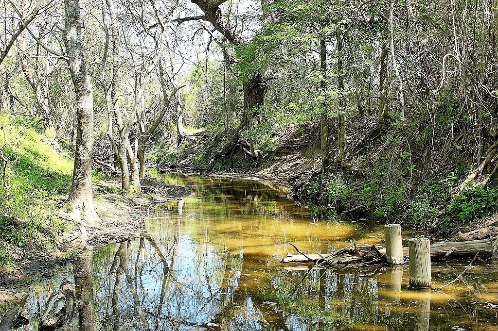 Tbd Scott Road Weimar, TX 78962 - Photo 6 of 16