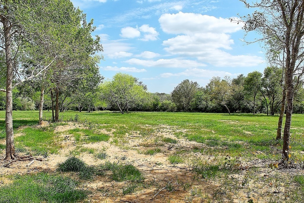 Tbd Scott Road Weimar, TX 78962 - Photo 9 of 16