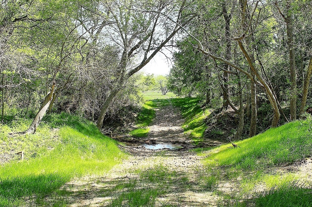 Tbd Scott Road Weimar, TX 78962 - Photo 9 of 16