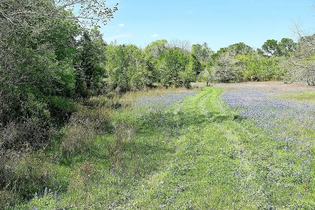 $477,177 | Tbd Scott Road, Weimar, TX 78962