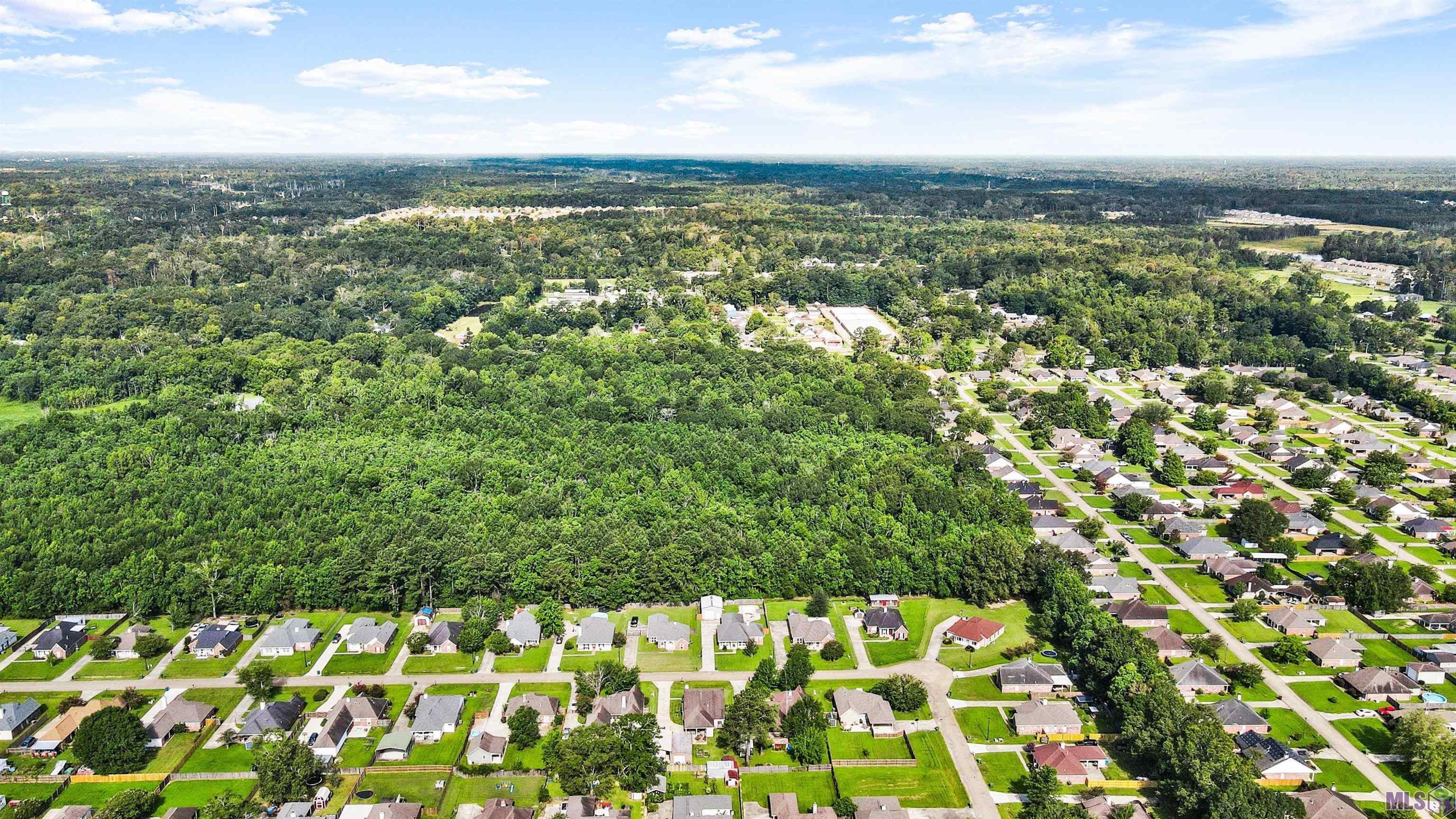 Tbd Ball Park Road Walker, LA 70785 - Photo 6 of 11 Gallery Image 6
