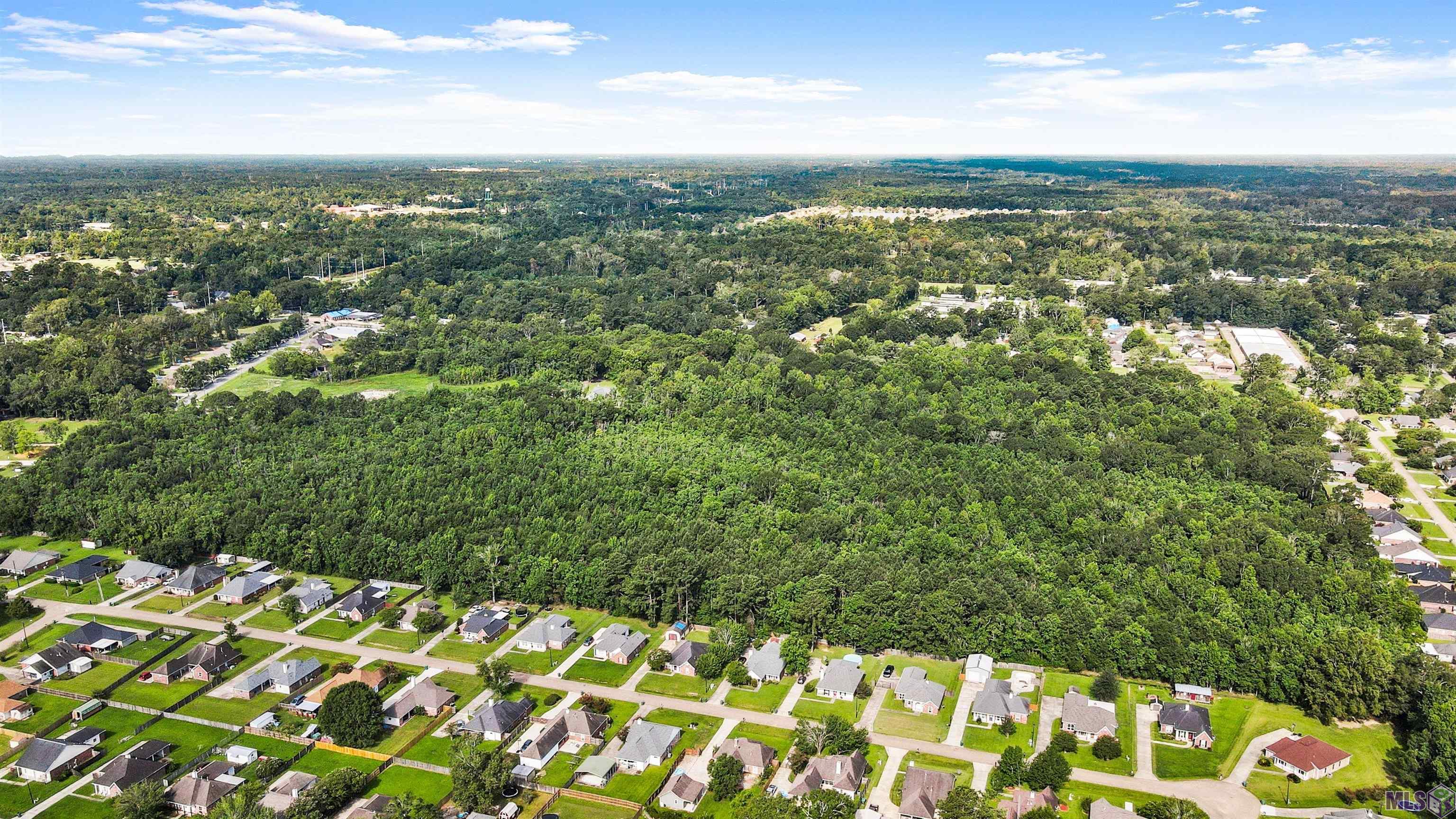 Tbd Ball Park Road Walker, LA 70785 - Photo 7 of 11 Gallery Image 7