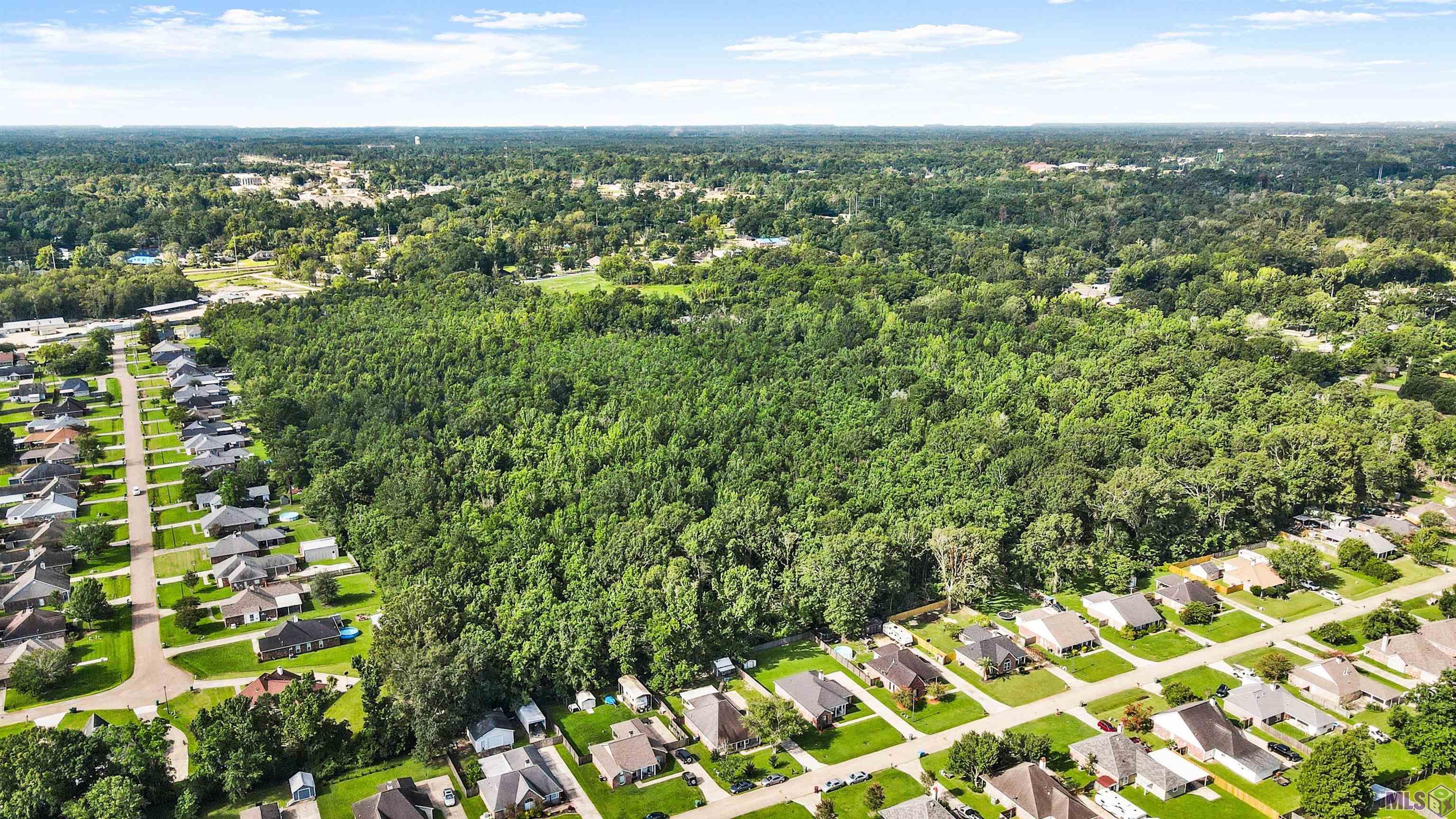 Tbd Ball Park Road Walker, LA 70785 - Photo 8 of 11 Gallery Image 8