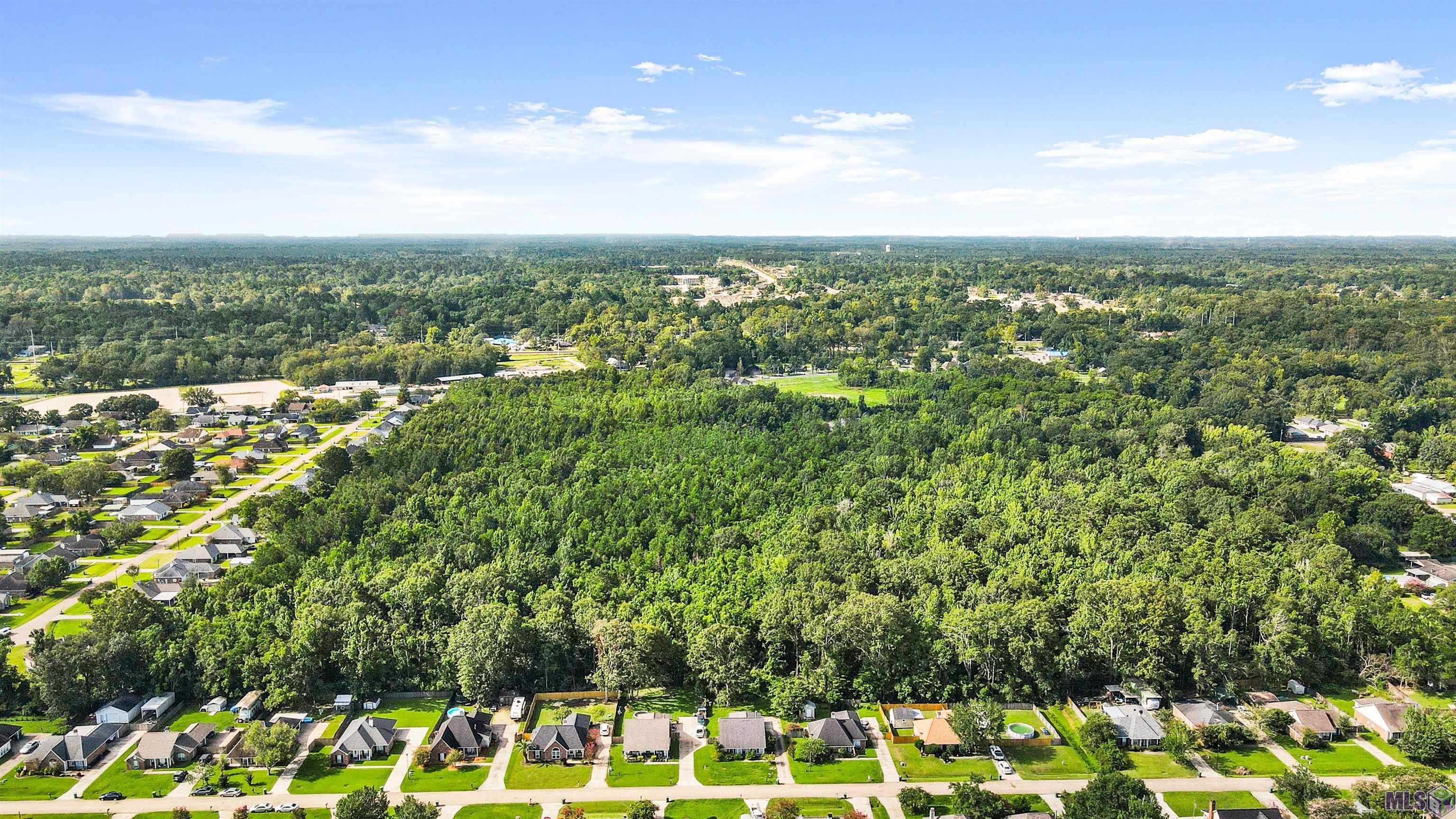 Tbd Ball Park Road Walker, LA 70785 - Photo 9 of 11 Gallery Image 9