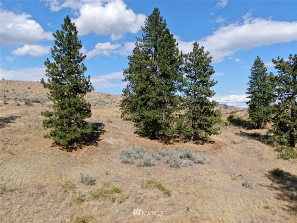 380 Chiliwist Road Malott, WA 98829 - Photo 3 of 16 Gallery Image 3