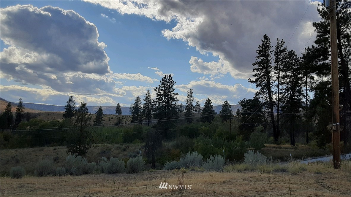 380 Chiliwist Road Malott, WA 98829 - Photo 6 of 16 Gallery Image 6