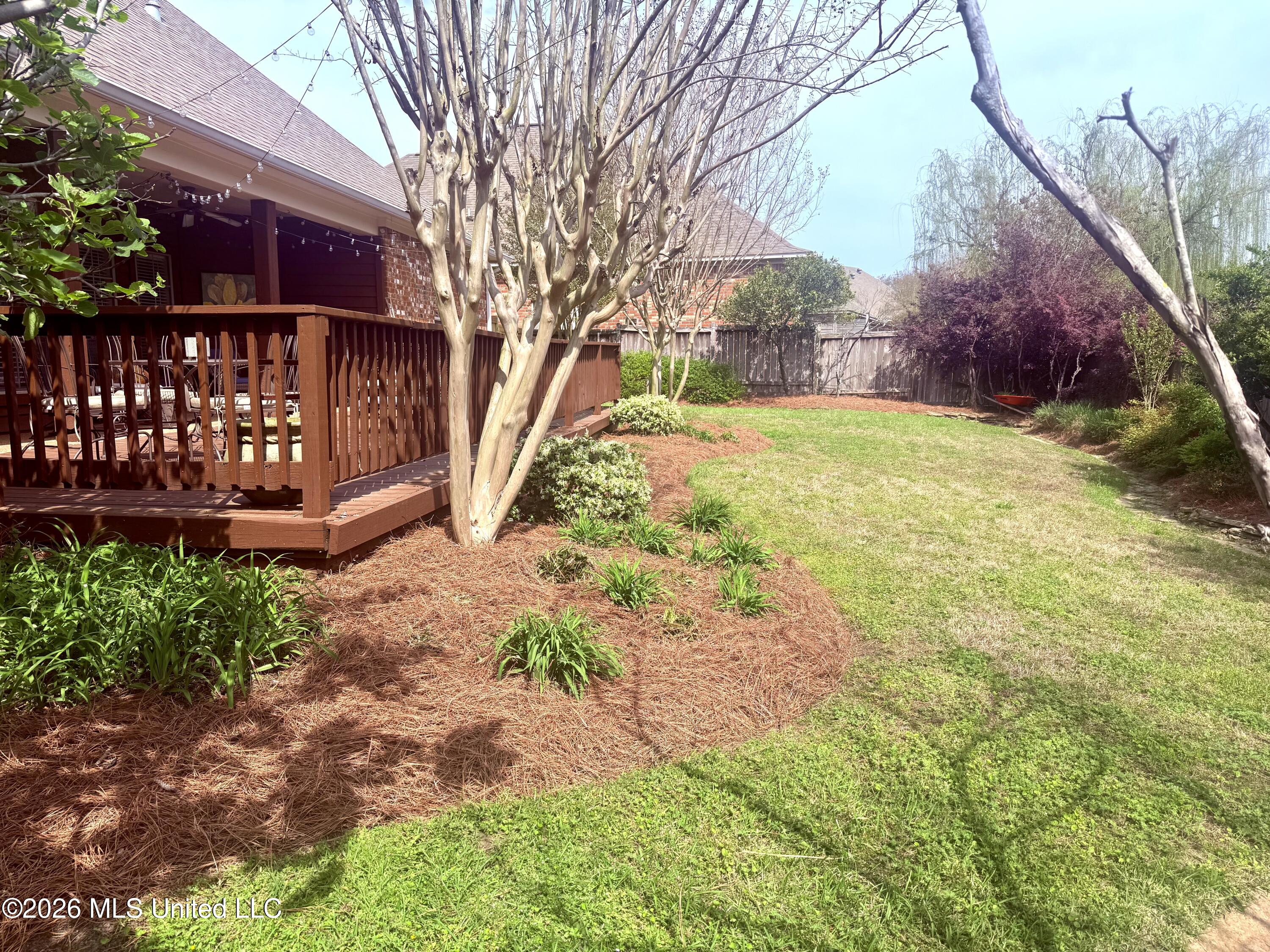 563 Eastside Cove Brandon, MS 39047 - Photo 51 of 57 Photo Mar 24 2026, 2 53 02 PM