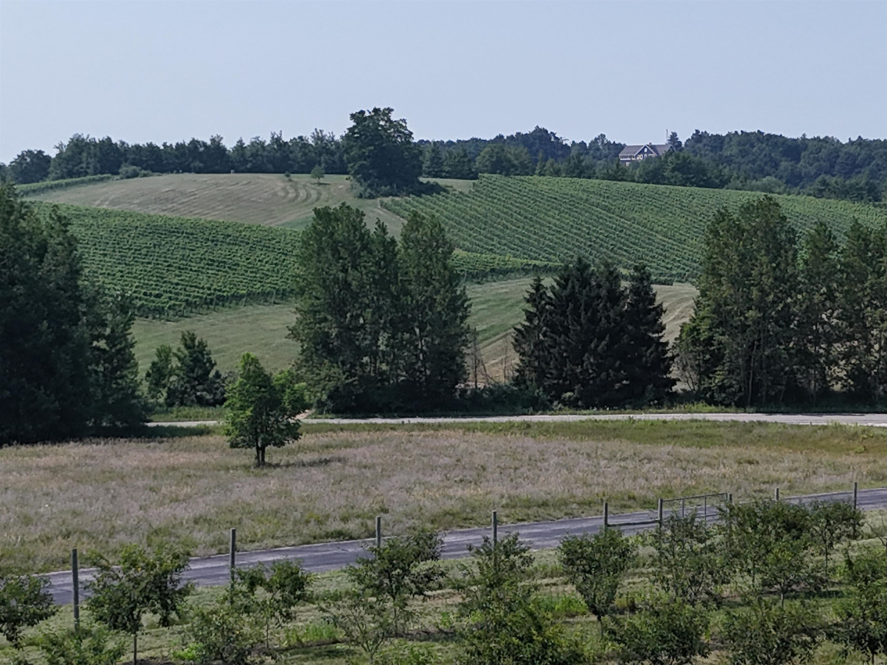 V/l North Matheson Road Northport, MI 49670 - Photo 7 of 11