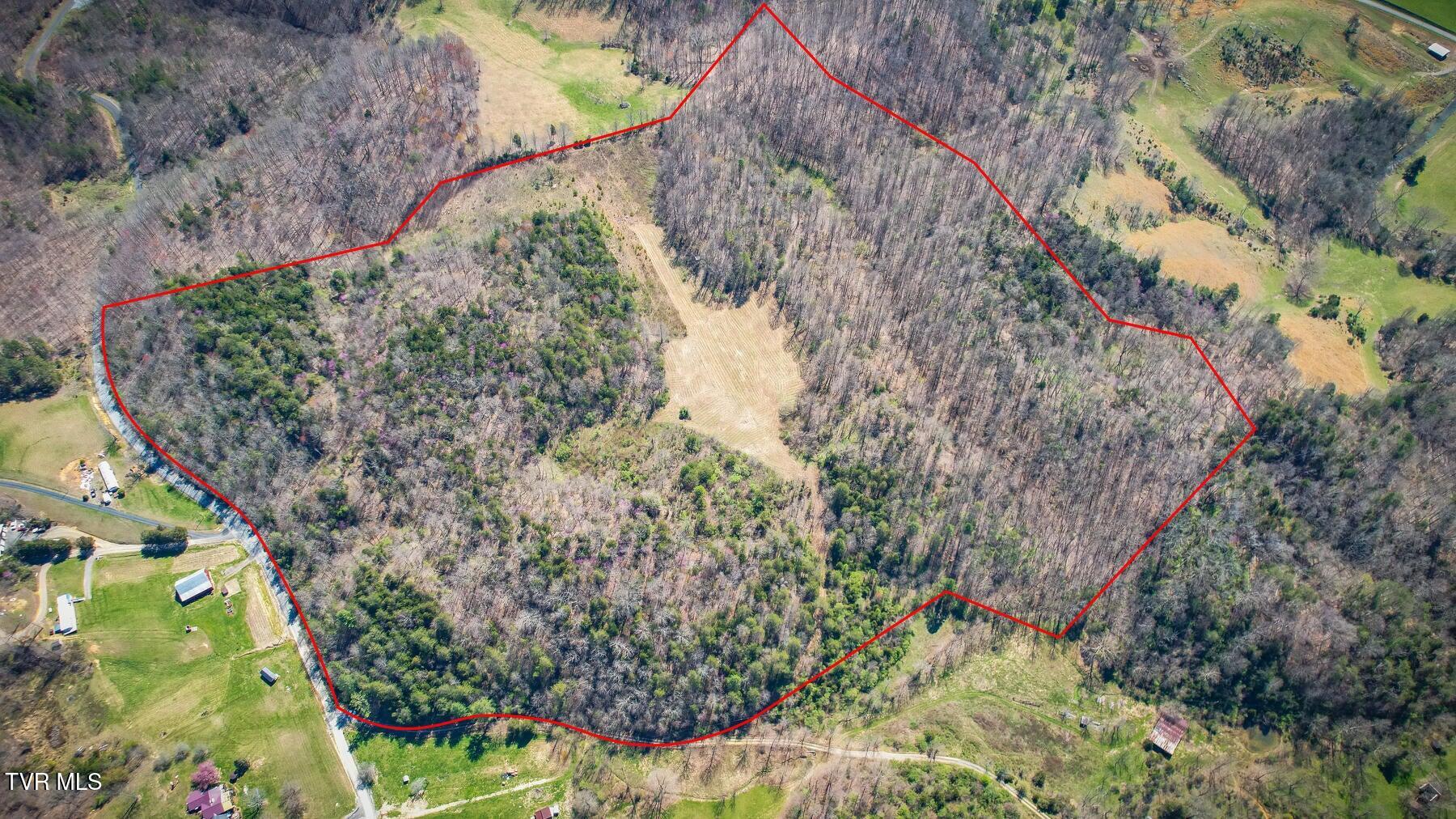 Tbd Ivy Valley Road Gate City, VA 24251 - Photo 9 of 12 20230331160101197491000000-o
